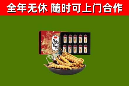 铜仁市回收冬虫夏草价格
