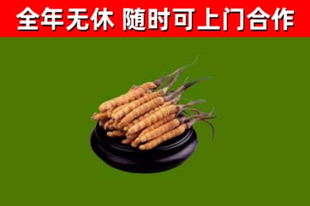 铜仁市烟酒回收冬虫夏草.jpg