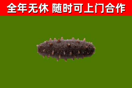 铜仁市烟酒回收干海参.jpg